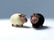 sheep 2