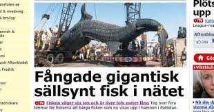 jona i fisk