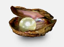 pearl2