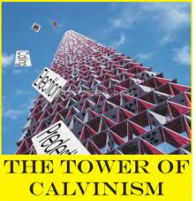 calvinism 8