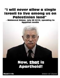 abbas 1