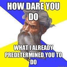calvinism 4.jpg